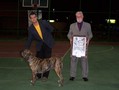 In Memorian - Fila Brasileiro Tigrado - Canil Singular - Manhoza